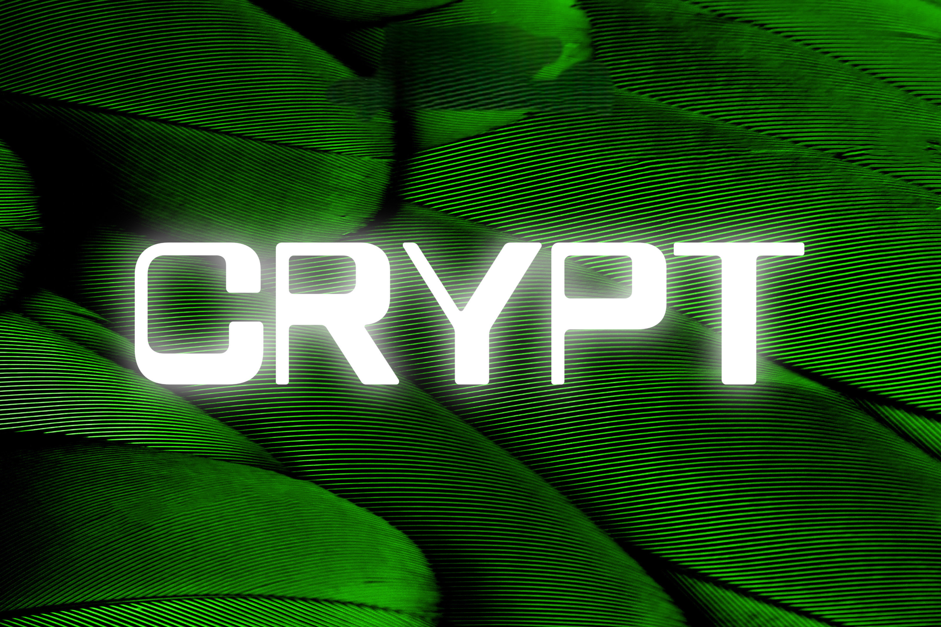 Matryx Crypt